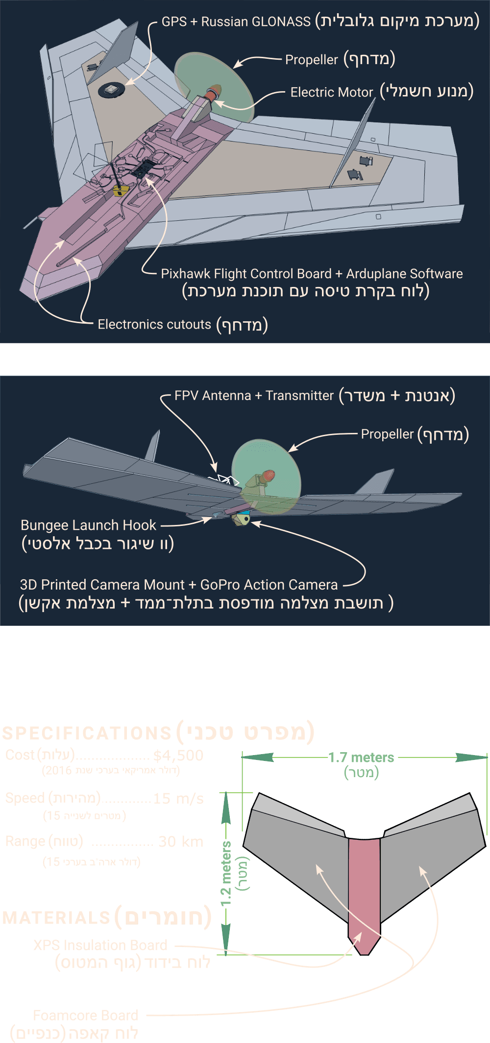 תיאור דו־לשוני של היכולות
