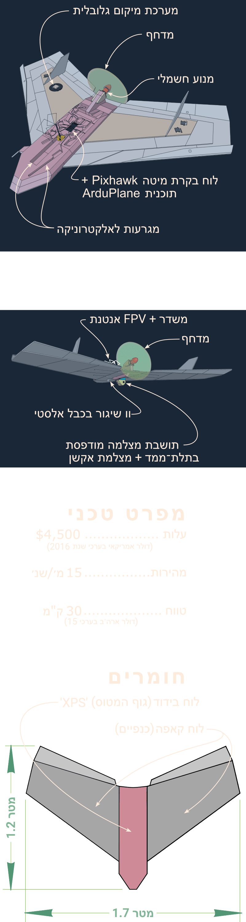 תיאור דו־לשוני של היכולות
