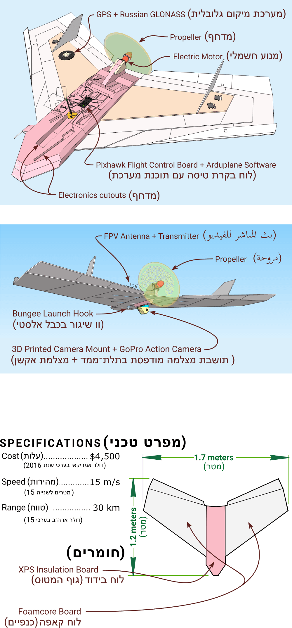 תיאור דו־לשוני של היכולות