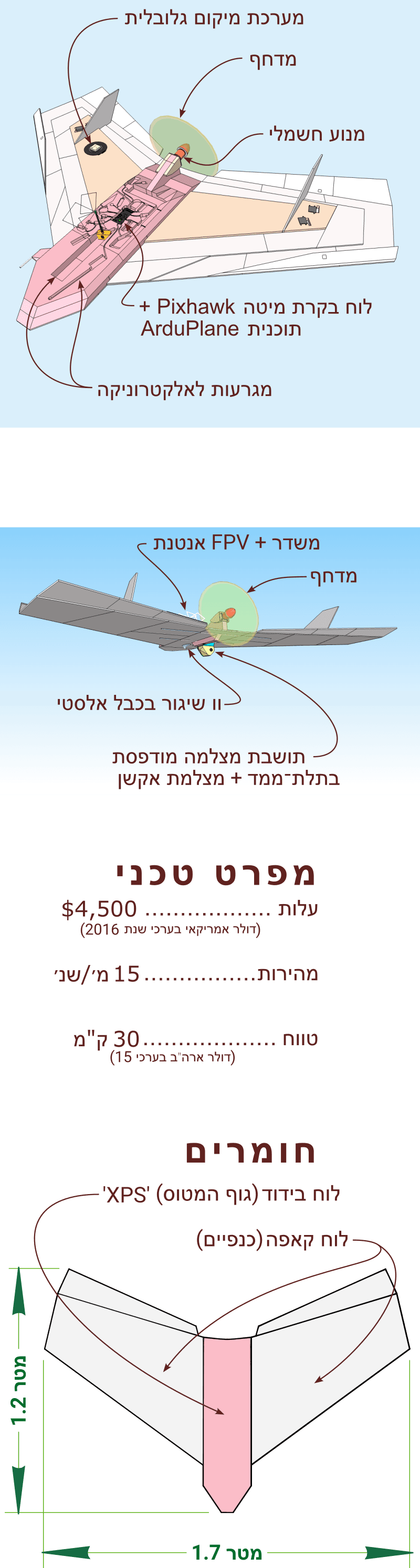תיאור דו־לשוני של היכולות